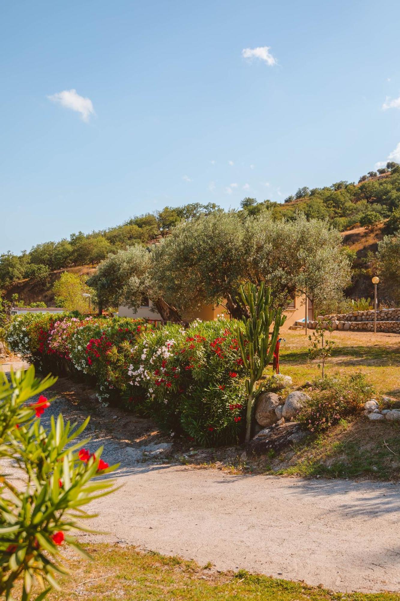 Calami - Villa Romeo - Private Apartments With Pool, Seaview & Olive Grove Santa Caterina Dello Ionio Marina Exterior photo